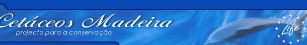 Cet&aacute;ceos Madeira